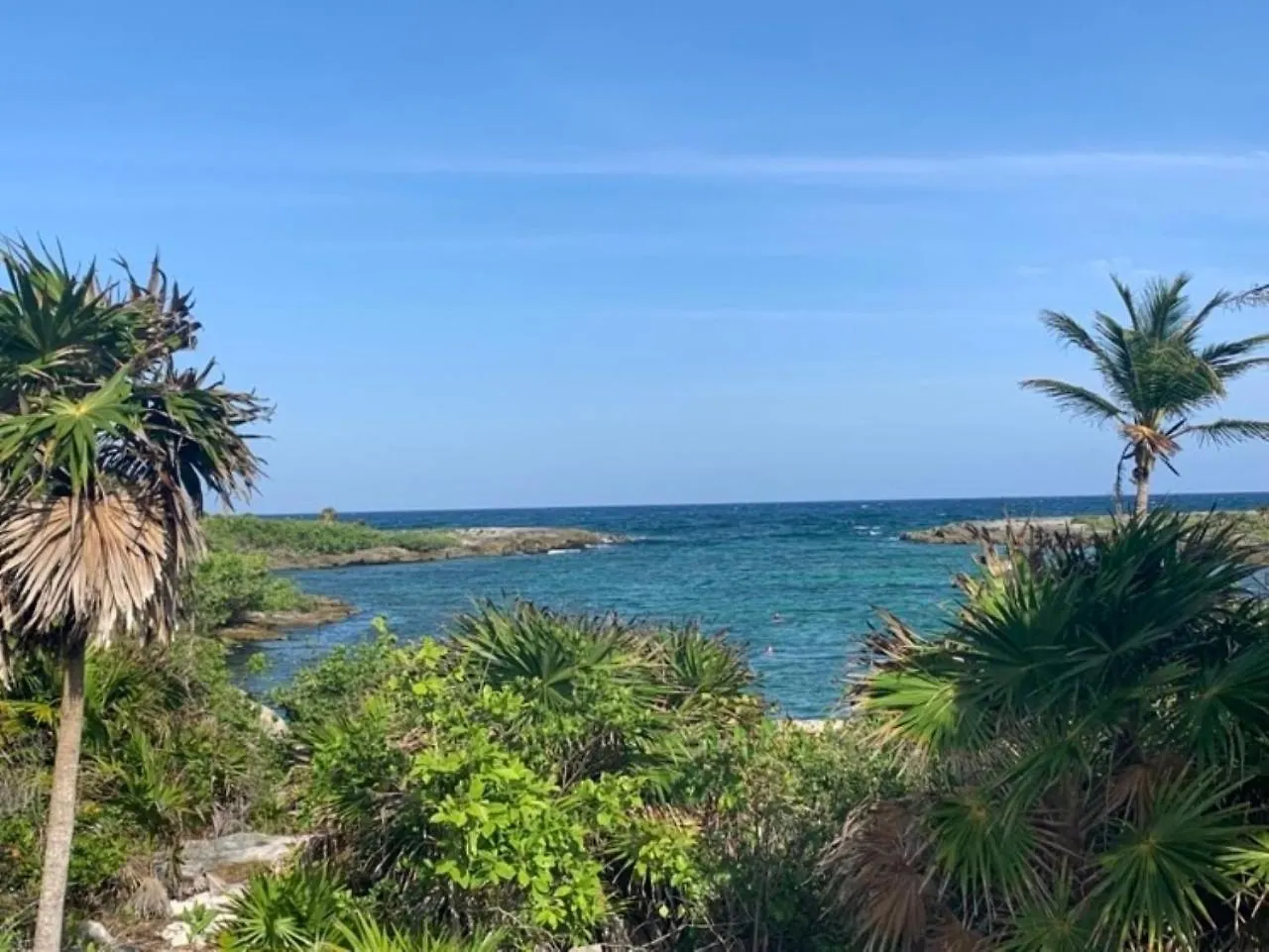 La Selva Penthouse Gated Community contacts